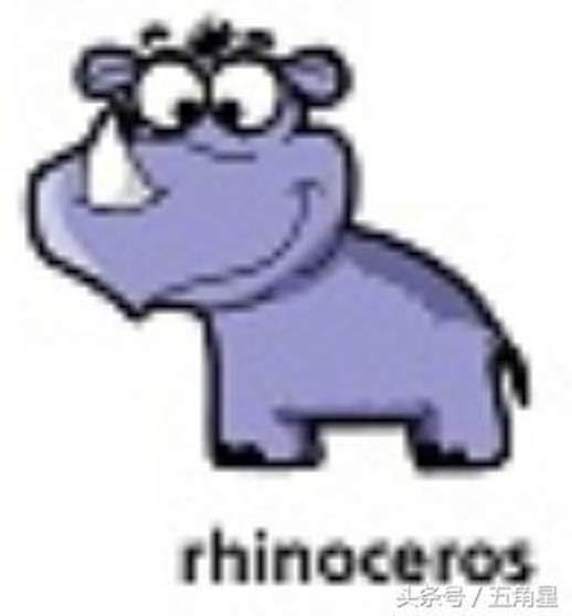 犀牛的英文： rhinoceros