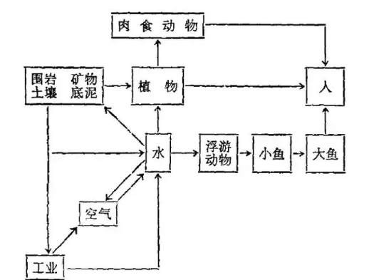 水银是什么东西