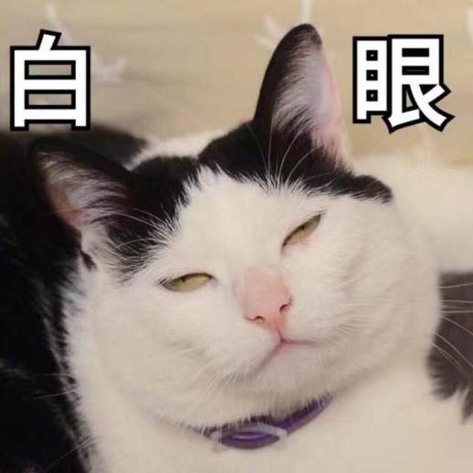 猫咪厌恶的表征