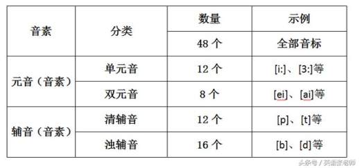 音节是什么意思举例