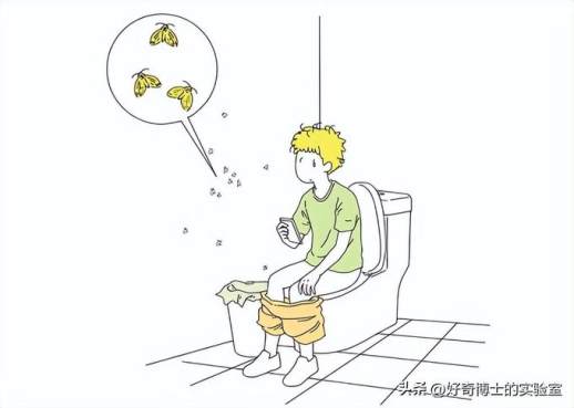 家中常见的虫子