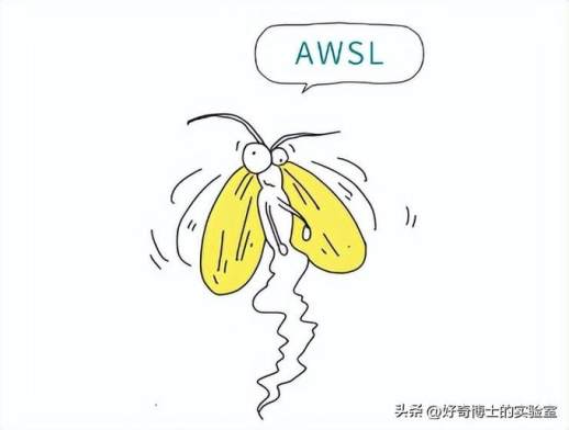 家中常见的虫子