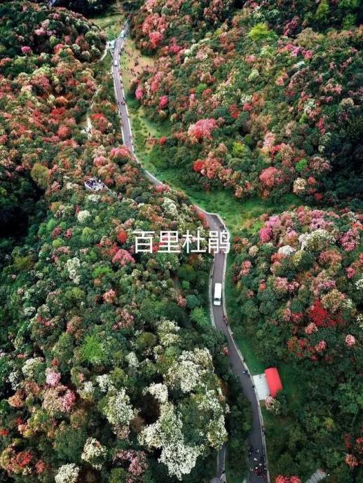 贵州十大旅游景点