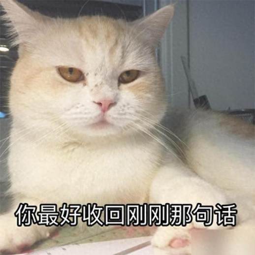 猫咪厌恶的表征