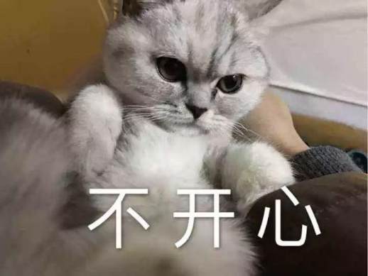 猫咪咬人怎么办