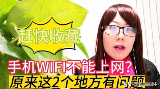 wlan无线上网 无线流量wifi