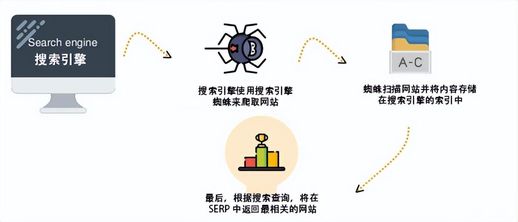 seo教程(shopify建站多少钱)