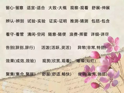 午时花开花了拟人句(我家月季花终于开了改拟人句)