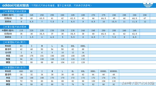 鞋子尺码表 国际鞋码对照表