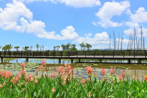 荷包岛旅游攻略 珠海荷包岛旅游价目表