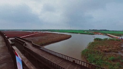 盘锦红海滩一日游 盘锦旅游团一日游