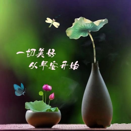 象征友谊的花语