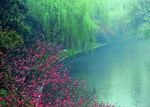 自在飞花轻似梦无边丝雨细如愁 秦观自在飞花轻似梦无边丝雨细如愁