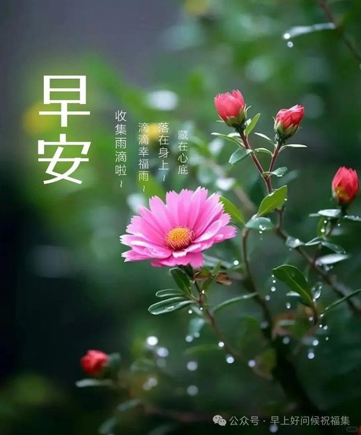 2018微信特效表情雨(图片下雨特效)