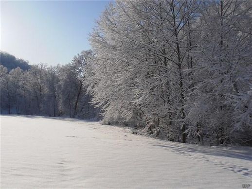 雪中惆怅