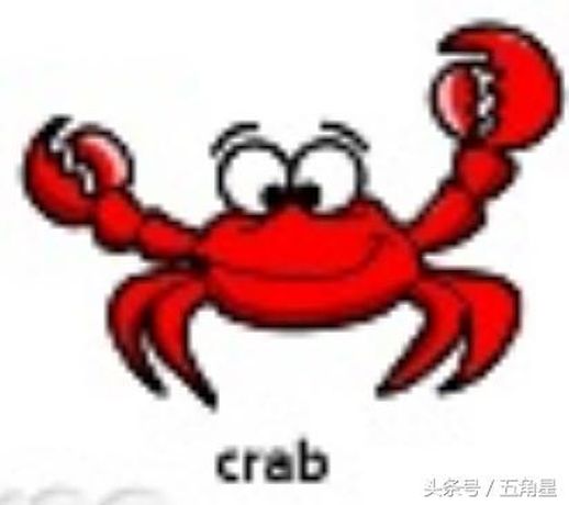 crab