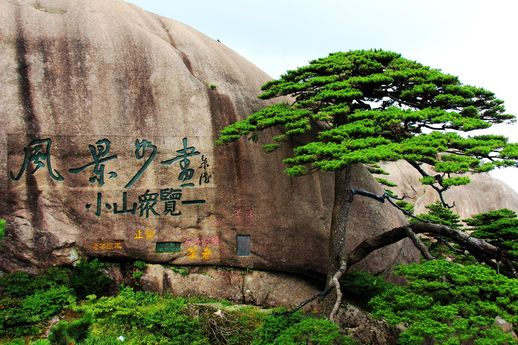 九华山在哪里(九华山不能随便去的原因)