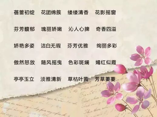 午时花开花了拟人句(我家月季花终于开了改拟人句)