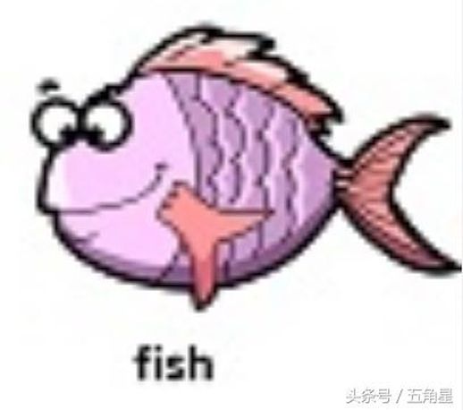 fish