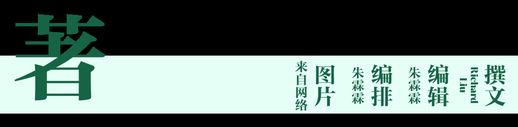 甲鱼吃什么 活甲鱼放在家里怎么养