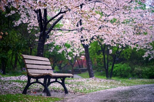 自在飞花轻似梦无边丝雨细如愁 秦观自在飞花轻似梦无边丝雨细如愁