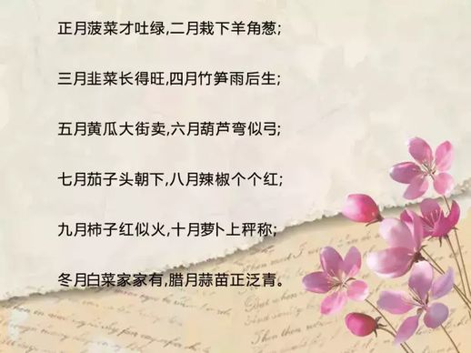 午时花开花了拟人句(我家月季花终于开了改拟人句)