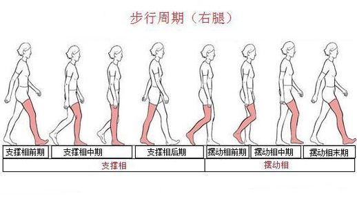 正确走路姿势(怎么练走路姿势)