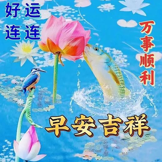 绣球花