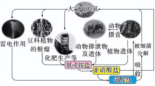 氯化铵的电子式 NH4Cl电子式