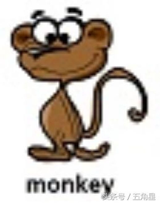 monkey