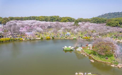 武汉有什么好玩的地方景点推荐 武汉好玩的地方有哪些地方