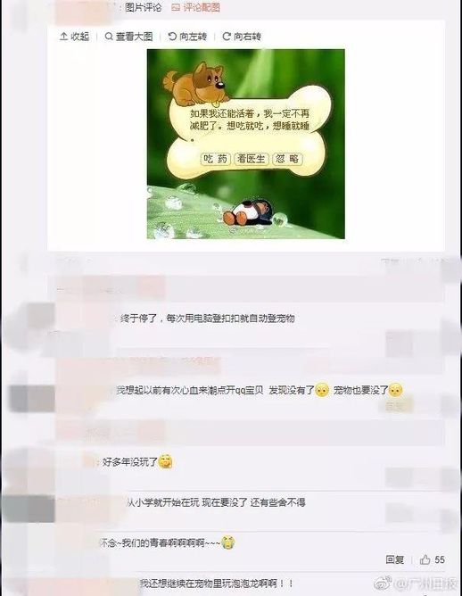 QQ宠物即将停运