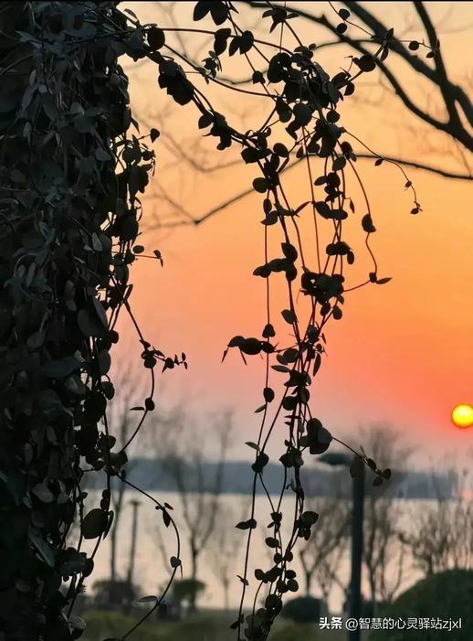 夕阳西下的经典语录(日落的经典语录)